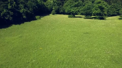 View over the summer green fields from the above. Video stock 218469692