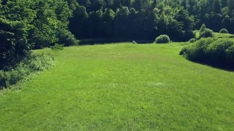 View over the summer green fields from the above. Video stock 218469749