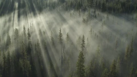 View over Sun Rays Cutting Through Mountain Forest Fog During Sunrise From Above Stock Footage 211881609