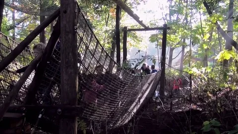 View over the suspension bridge  in the park Stock Footage 82490937