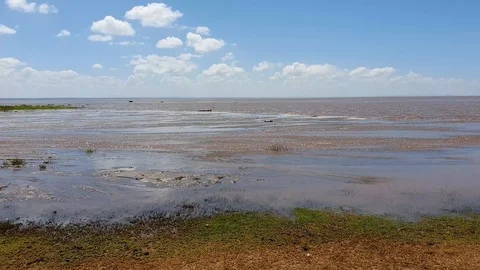 View over tarangiere lake Stock Footage 127102491