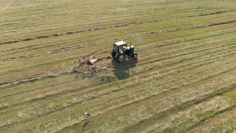 View over a tractor with a rake raking dry mown hay in a row in the evening Stock Footage 137687474
