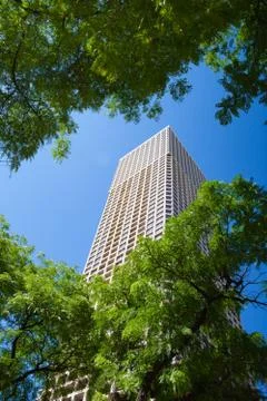 View over the trees at skyscraper in Chicago, Illinois, USA. Stock Photos