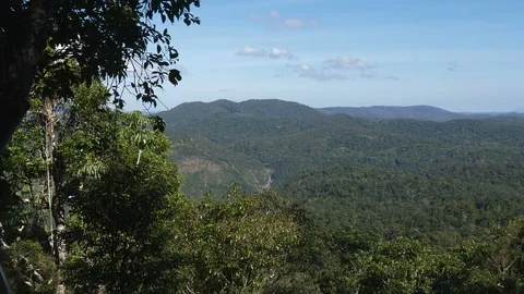 View over tropical rain forest canopy in Kuranda State Forest in Australia Stock Footage 93939019