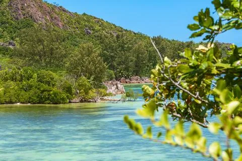 View Over The Turtle Pond To The Beach Stock Photos
