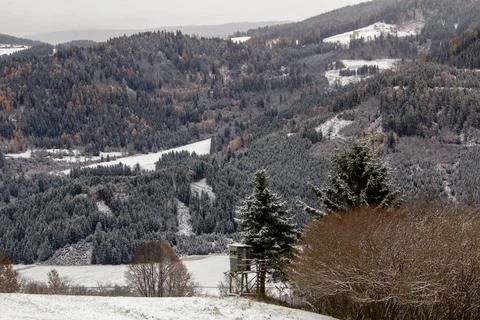 View over the valley with snow covered forest Stock Photos