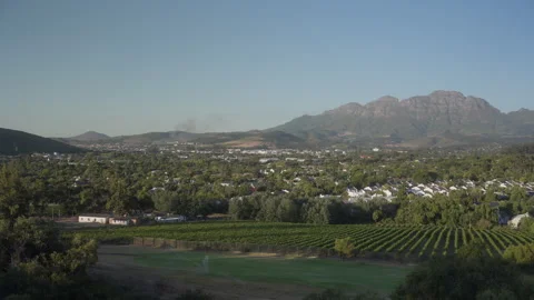 View over Vineyard and Mountains in Stellenbosch at Sunset | Rec. 709 Stock Footage 308462703