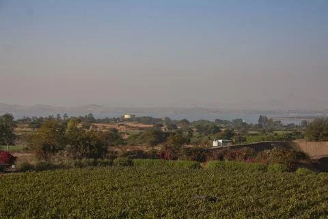 View over a vineyard Stock Photos