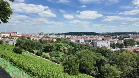 View over Vršovice and Vineyards from Havlíčkovy Sady, Prague, Czechia Stock Footage 278054075