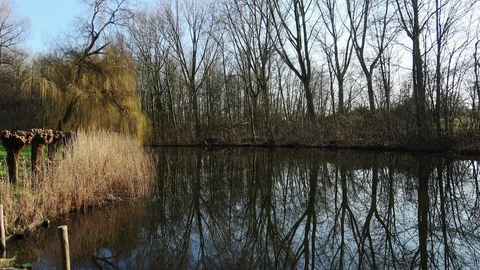 View over the water in the park Stock Footage 126723647