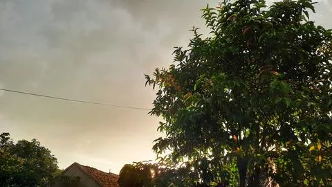 View of overcast clouds with sunshine among the trees Stock Photos