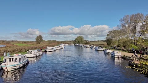 View own the River Ant Stock-Footage 289454834