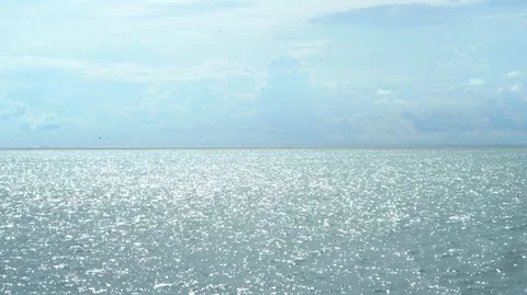 A View of the Pacific Ocean From a Cliff Video stock 74301428