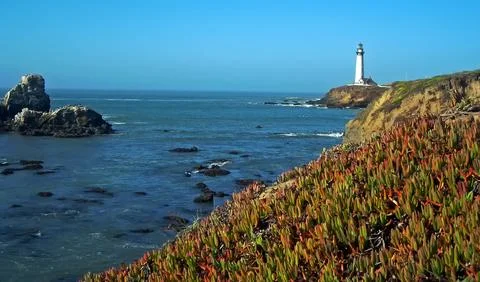 View of the Pacific. Stock Photos
