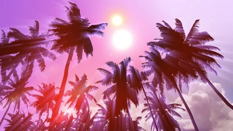 View on Palm 6 and Sky with two Suns 動画素材 204720623