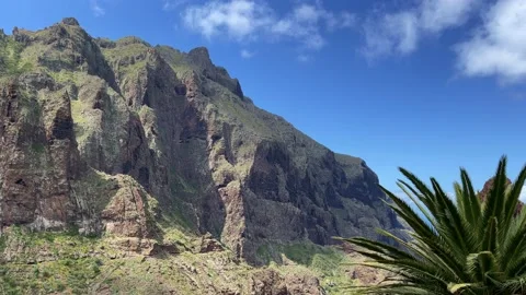 View to the palm tree and mountain. Natural background. 4K. Stock Footage 212166906
