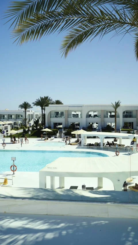 View of Palm tree and pool at luxury resort 스톡 동영상 330995687