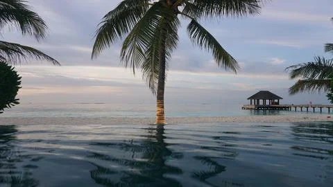 View of palm tree pool and beach at sunset Stock Photos
