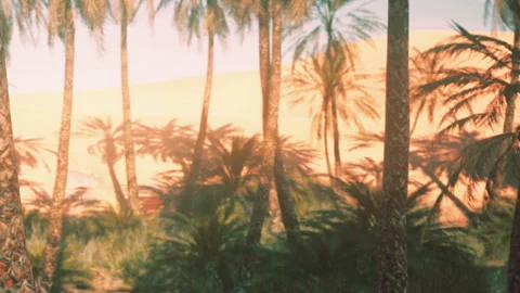 View of palm trees against desert landscape during sunset Stock Footage 342041026