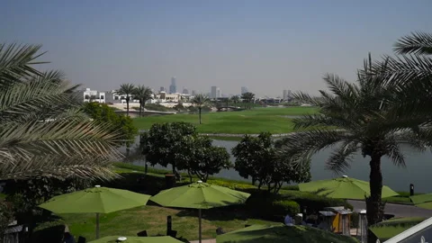 View of palm trees and golf course Vídeo Stock 205439377