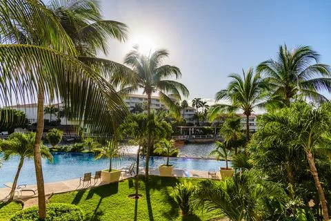 View of Palm Trees and Pool in Morning in Mexico Stock Photos