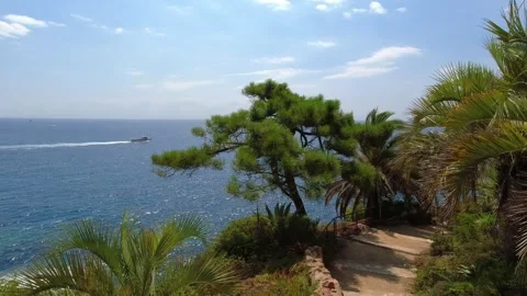 View of palm trees and then the sea in Jardín Botánico Marimurtra in Blanes Stock Footage 250354495