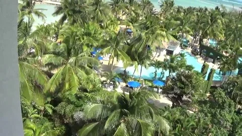 View of palm trees from balcony Stock Footage 138898858