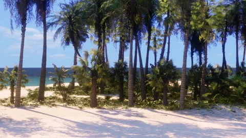 View of palm trees on a beach with sand and ocean in the background Stock Footage 343518545