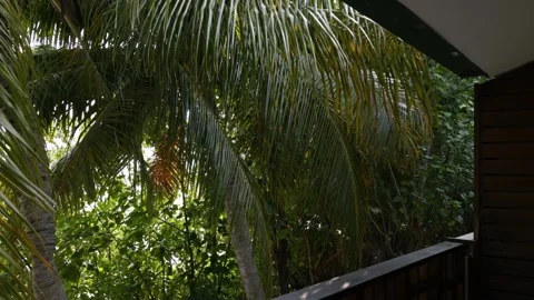 View of palm trees from the hotel balcony Stock Footage 306293128