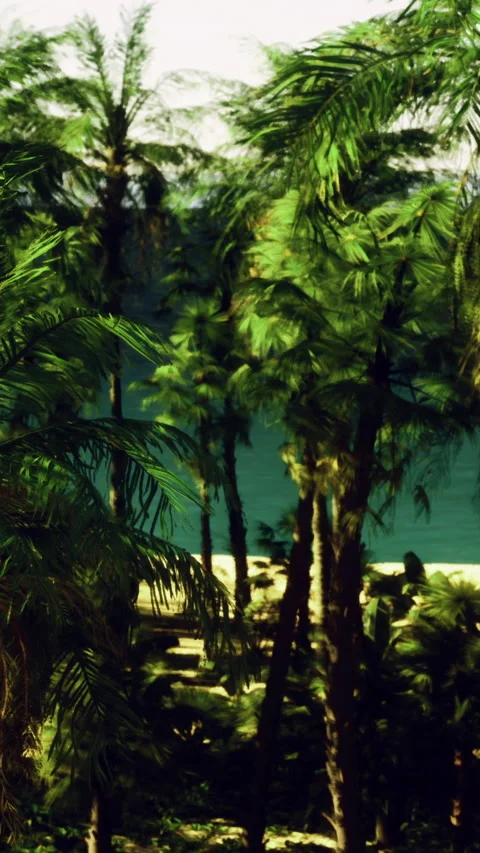 View of palm trees near the sea with clear blue water in the background Stock Footage 331663597