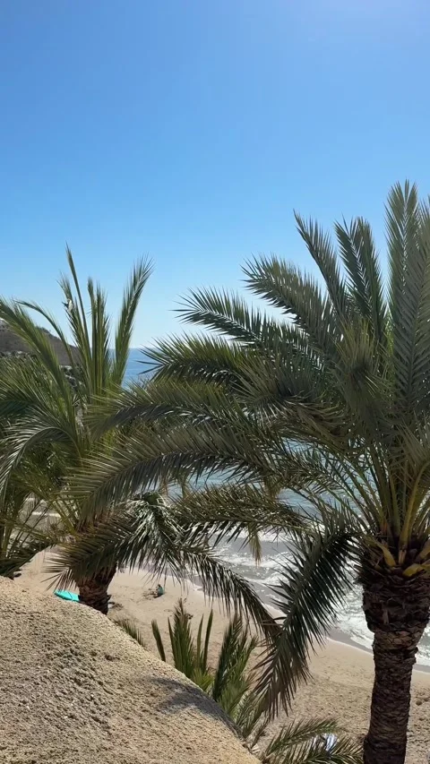 View of palm trees, sea, and mountains from the embankment, scenic coastal lands Stock Footage 330068168