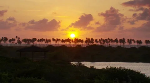 View of palm trees on seaside at sunset Stock Footage 60690893