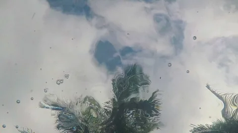 View of palm trees from underwater. Stockbeeldmateriaal 89950833