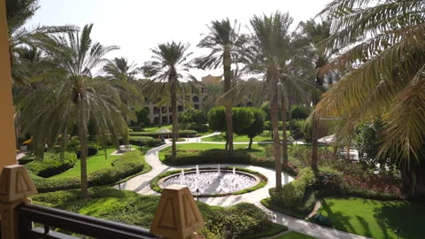 View of the palm trees from the window Vídeo Stock 162254370