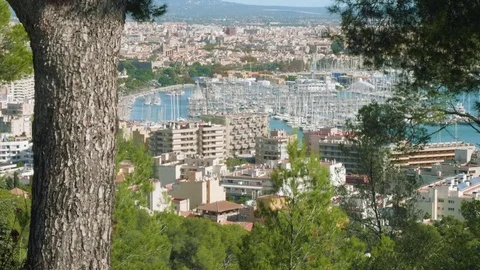 View of Palma de Majorca from Bellver castle on sunny day suitable for Stock Footage 83733653