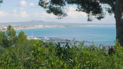 View of Palma de Majorca from Bellver castle on sunny day suitable for Stock Footage 83734458