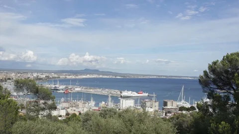 View of the Palma marina Stock Footage 128251747