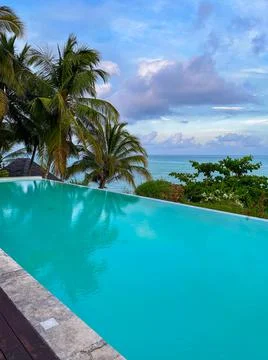 View of palms and the ocean from infinity pool with turquoise water Stock Photos