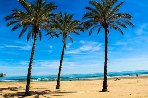 View to palms from beach cullera-Spain Stock Photos