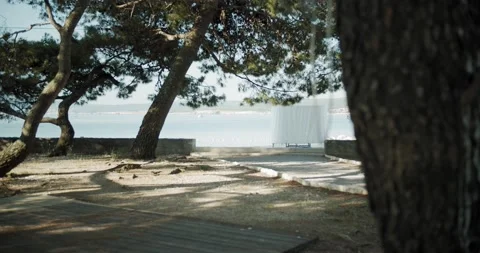 View from a par to the sea Vidéo 141742940