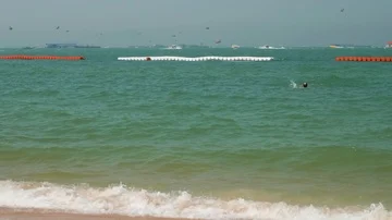 View of parasails in sky over water Video stock 85706904
