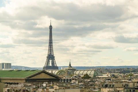 View of Paris skyline with the Eifel tower and  Grand Palais, France 库存照片