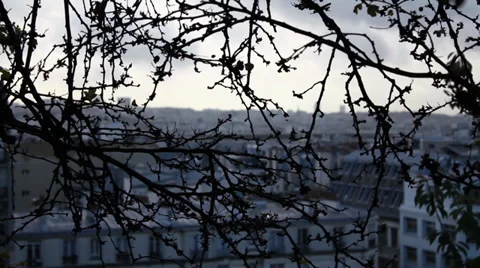 View of Paris through tree Stock Footage 35190937