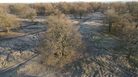 View of the park from above oak grove Stock Footage 220315547