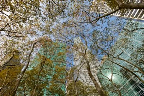View from a park, architecture Stock Photos
