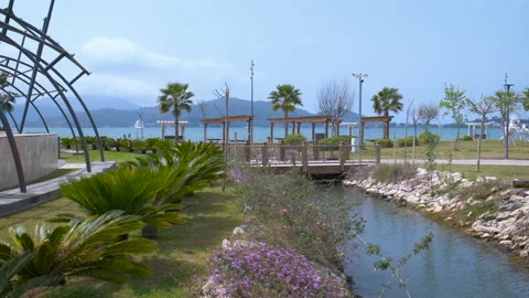 View of the park on the bay with palm trees. Stock Footage 231644160