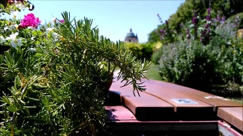 View from the park bench decorated with flowers and plants. Stock Footage 65667871