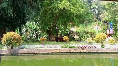 View on the park from the boat Stock Footage 246866281