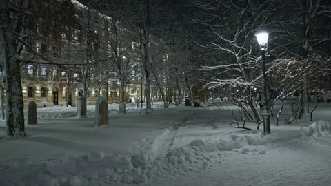 View of the Park in Central Helsinki during the snowstorm Stock Footage 170459025