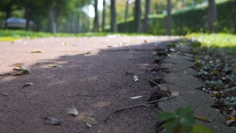 The view of park in the city. Natural scenery in Asia. Stock-Footage 97970053